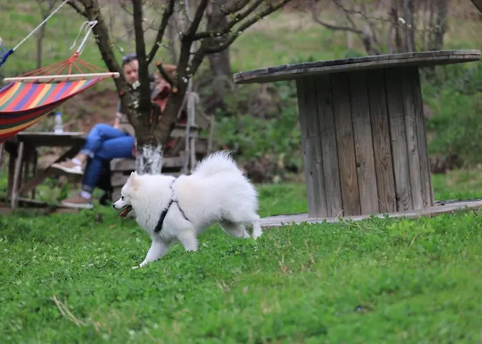 Shtepizat E Rames Agroturizem Ferienhaus *
