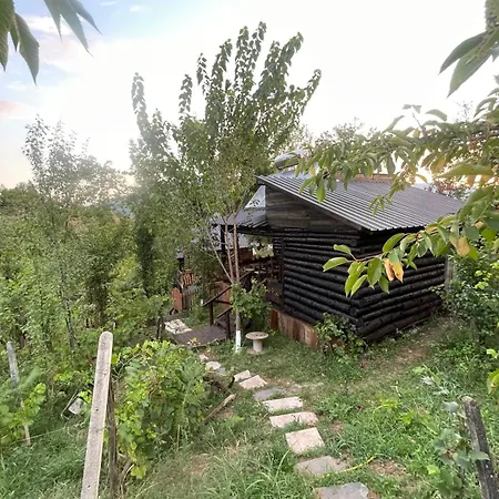 Vakantiehuis Shtepizat E Rames Agroturizem *