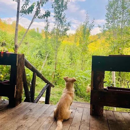 Shtepizat E Rames Agroturizem