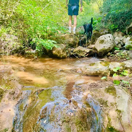 Nyaraló Shtepizat E Rames Agroturizem