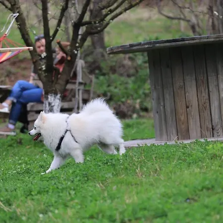 Shtepizat E Rames Agroturizem Tatil Evi *