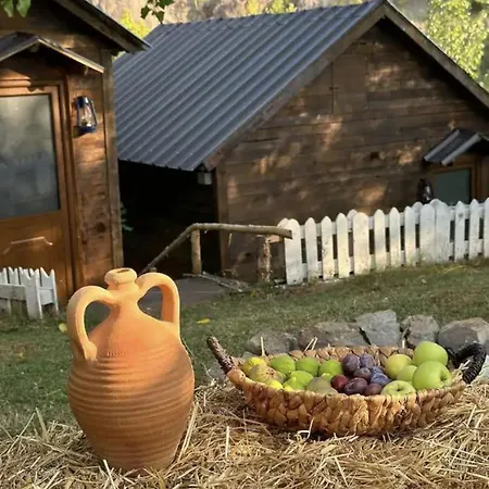 Shtepizat E Rames Agroturizem Librazhet