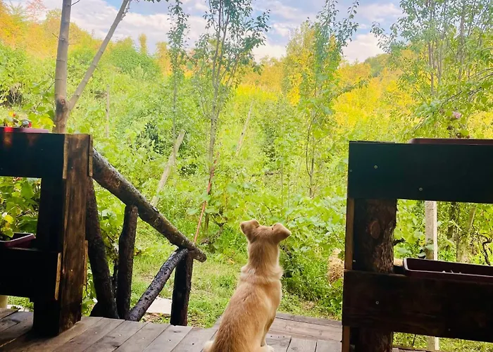 Shtepizat E Rames Agroturizem