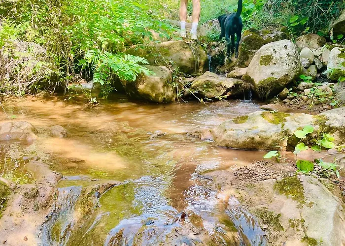 別荘 Shtepizat E Rames Agroturizem