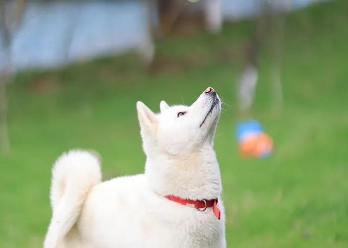 Shtepizat E Rames Agroturizem Casa vacanze *