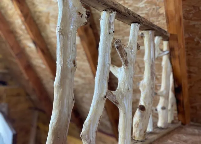 別荘 Shtepizat E Rames Agroturizem Librazhet